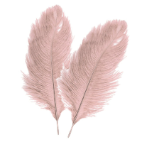 Struisvogelveren/sierveren   2x   oud roze   30 35 cm   decoratie/hobbymateriaal