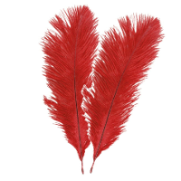 Struisvogelveren/sierveren   2x   rood   30 35 cm   decoratie/hobbymateriaal