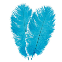 Struisvogelveren/sierveren   2x   turquoise   30 35 cm   decoratie/hobbymateriaal