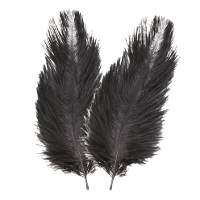 Struisvogelveren/sierveren   2x   zwart   30 35 cm   decoratie/hobbymateriaal