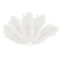 Struisvogelveren/sierveren   5x   creme wit   20 25 cm   decoratie/hobbymateriaal