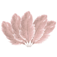 Struisvogelveren/sierveren   5x   oud roze   20 25 cm   decoratie/hobbymateriaal