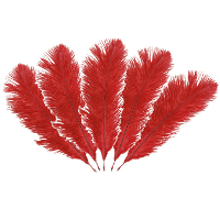 Struisvogelveren/sierveren   5x   rood   20 25 cm   decoratie/hobbymateriaal