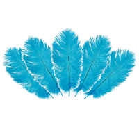 Struisvogelveren/sierveren   5x   turquoise   20 25 cm   decoratie/hobbymateriaal