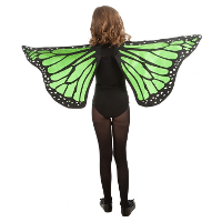 Vlinder verkleed vleugels   groen   voor kinderen   Carnavalskleding / accessoires