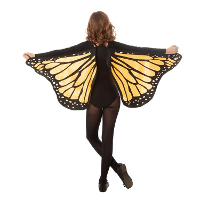 Vlinder vleugels   oranje   voor kinderen   Carnavalskleding/accessoires