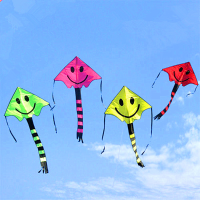 Child Toy Kite Four Color Smile Angel Smiley Kite Smiley Sports Beach Kite 76cm * 167cm