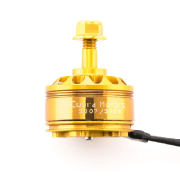 Cobra Champion CP2207 2207 Golden 2300KV 2450KV 2600KV 3 6S borstelloze motor voor 250 280 300 RC Drone