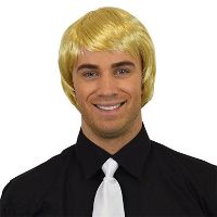 Carnaval verkleed pruik   Brits/popster   blond   kort haar stijl   heren