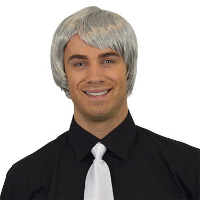 Carnaval verkleed pruik   Brits/Popster   grijs   kort haar stijl   heren   opa/oude man