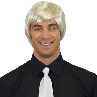 Carnaval verkleed pruik   Brits/popster   platina blond   kort haar stijl   heren