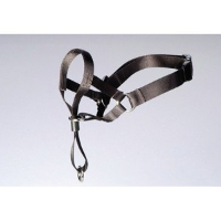 Control Trainer/Dog Control S (Westy) voor de hond Per stuk