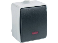 Controleschakelaar Gao Standaard Grijs 9876