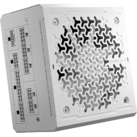 Corsair RM1000e voeding