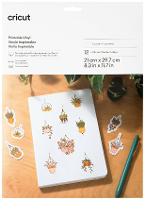 Cricut Printable Vinyl A4 Folieset Snijbreedte 29.7 Cm Transparant