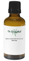 Cruydhof Ulmus Campestre Rubra Cort/Rode Iep Druppels