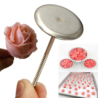 Cupcake Ice Cream Cake Decorating Flower Nail Needle Tools