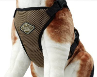D&d Dog Harness All Season Hondentuig Xs