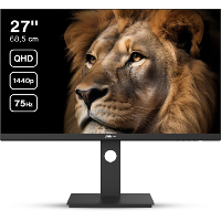 Dahua DHI LM27 P301A ledmonitor