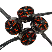 DarwinFPV 2006.5 2200KV zoutwaterbestendige borstelloze motor voor 3.5 Inch CineWhoop 5 6 inch langeafstand RC FPV race
