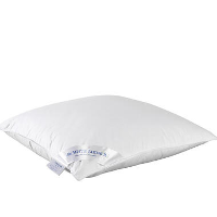 De Witte Lietaer Hoofdkussen Dream   50 x 70 cm   Polyestervulling