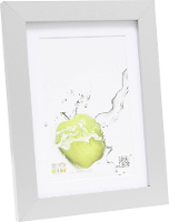 Deknudt S66KD1 P1 18X24 Wissellijst Papierformaat: 18 x 24 cm Zilver
