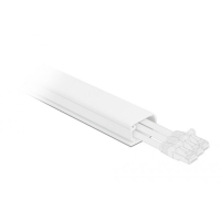 Delock 20722 Kabelgoot PVC Wit (l x b x h) 1 m x 35 mm x 20 mm 1 stuk(s)
