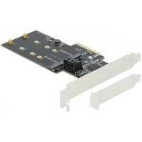 DeLOCK 3 Port SATA en 2 slot M.2 Key B PCI Express x4 Card Low Profile interface kaart