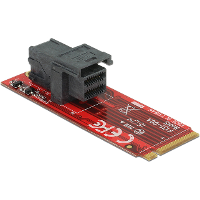 DeLOCK Adapter M.2 Key M > SFF 8643 NVMe serial ata controller