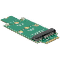 DeLOCK Adapter M.2 NGFF  >mSATA