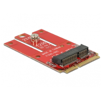 DeLOCK Adapter Mini PCIe > M.2 Key E slot