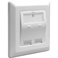 DeLOCK Keystone Wall Outlet 2 Port doos
