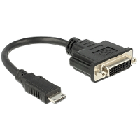 DeLOCK Mini HDMI > DVI D adapter