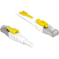 DeLOCK Netwerkabel RJ 45 Secure met Cat.6A