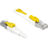 DeLOCK Patchkabel S/STP, RJ 45 Secure met Cat.6A