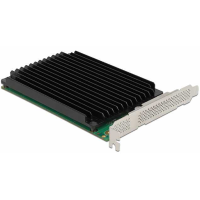 DeLOCK PCIe x16 > 4x internal NVMw M.2 Key M