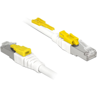 DeLOCK Netwerkkabel RJ 45 Secure met Cat.6A