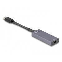 DeLOCK USB C > 2.5 Gigabit LAN slim netwerkadapter