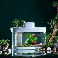 Descriptieve Meetkunde DESGEO C180 9L Aquarium Pro Slimme Voederautomaat 7 Kleuren LED licht Zelfreinigende Filtratie Mi
