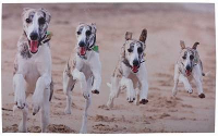 Deurmat Honden #95;_