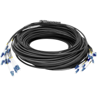 Digitus DK 2A33CU075BK BBB Glasvezel Optische vezel Aansluitkabel 75 m Zwart [12x LC /UPC stekker   12x LC /UPC stekker] 9/125 µ Singlemode OS2