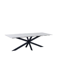 Eettafel Edin 210x100 cm marmerlook wit   Stoneware   Wit