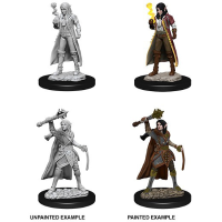 Diverse Dungeons and Dragons: Nolzur's Marvelous Miniatures   Elf Female Cleric tabletop spel 2 stuks