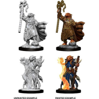 Diverse Dungeons and Dragons: Nolzur's Marvelous Miniatures   Female Dragonborn Sorcerer tabletop spel 2 stuks
