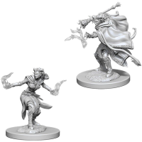 Diverse Dungeons and Dragons: Nolzur's Marvelous Miniatures   Female Tiefling Warlock tabletop spel 2 stuks