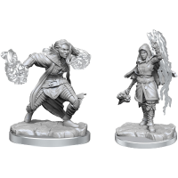 Diverse Dungeons and Dragons: Nolzur's Marvelous Miniatures   Half Elf Warlock tabletop spel 2 stuks