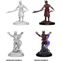 Diverse Dungeons and Dragons: Nolzur's Marvelous Miniatures   Male Tiefling Warlock tabletop spel 2 stuks