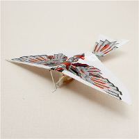 Diy Assembly Flapping Wing Flight Model Imitate Birds Aircraft