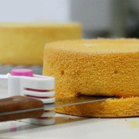 Diy Cake Bread Cutter Leveler 5 Layers Slicer Cutting Fixator Tools