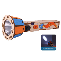 DIY Wetenschappelijk Experimentenpakket met Zaklamp Educatief Model Fysica Speelgoed Project Cadeau Kinderen